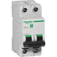 Schneider Electric Multi 9 Interruttore LS OEM C60N a 2 poli 40 A, caratteristica C, 10 kA, IEC 60947-2, M9F11240