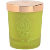 Etro Dafne 170 g — Candela Profumata