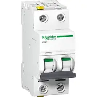Schneider Electric Interruttore LS A9F03204