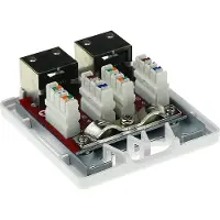 ACT Scatola a montaggio superficiale schermata 2 porte CAT6A