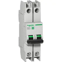 Schneider Electric Multi 9 Interruttore LS OEM C60BPR RING 2P 6A Caratteristica C 10kA 480Y/277V UL489 M9F52206