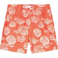 Shiwi Boys Milo Swim Shorts 4 Inch Umbrellas Orange Coral Umbrella Taglia: 158/164 | Costumi da Bagno Outlet | Unisex | Arancia