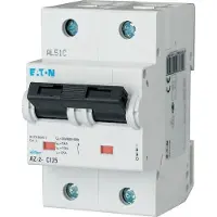 Eaton Interruttore LS, 80A, 2p, D-Char 211823