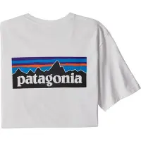 Patagonia P-6 Logo Responsibili-Tee T-shirt Uomo (XXL, grigio)