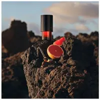 Trussardi Primo 100 ml — Eau de Parfum