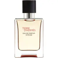 Hermès Paris Hermès Terre D'Hermès Eau de Parfum Intense 50 ml — Eau de Parfum Uomo