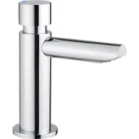 Deante Timed washbasin mixer