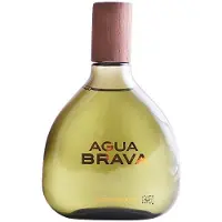 Antonio Puig Agua Brava Dopobarba 200ml