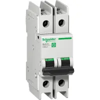 Schneider Electric Multi 9 Interruttore LS OEM C60BP a 2 poli, 30 A, caratteristica C, 10 kA, 480Y/277 V, UL489, M9F42230