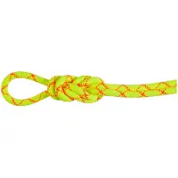 Mammut 9.5 Alpine Core Protect Dry Rope Corda intera (40 m, giallo)