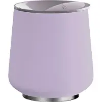 Fellowes Bottiglia Termica Ruby Wine Tumbler