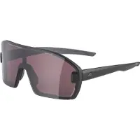 Alpina Bonfire Mag Q S1 + S3 Occhiali da sole grigio