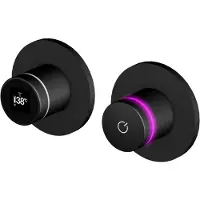 Steinberg Série 310 Iconic Armature électronique avec affichage numérique, pour 2 consommateurs, 3104120S, 3104120S