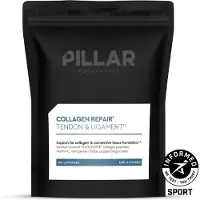 Pillar Performance Collagene In Polvere Repair 260g