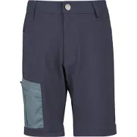 Stoic Kid's FalunSt. Tour Shorts Light Pantaloncini Bambini (164, grigio)
