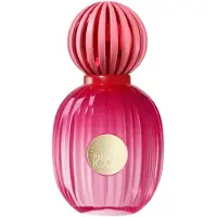 Antonio Banderas The Icon Donna 100 ml — Eau de Parfum