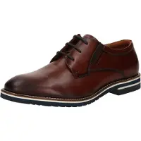 Salamander Scarpa stringata marrone