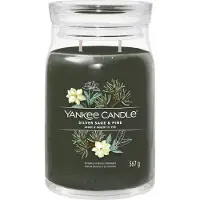 Yankee candle Silver Sage & Pine Signature Candle 368g