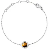 Daniel Wellington Bracciale Occhio di Tigre Cristalli — Bracciale