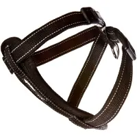 EzyDog Pettorina Per Cani In Neoprene