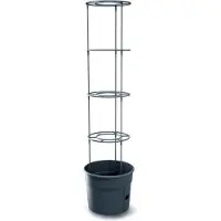 Prosperplast Vaso Da Fiori Tomatoes 29.5x29.5x 31.5-153 Cm