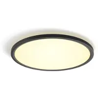 Philips Hue White Ambiance Plafoniera Da Soffitto Tento Wa Led Rotonda Da 42,1 Cm, Nero