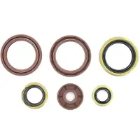 Holeshot Kit Di Guarnizioni Olio Ktm 2012-2016 450 Exc-f/sx-f Husqvarna 2014-2015 Fc/fe