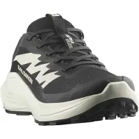 Salomon Women's Alphaglide Scarpe per trail running Donna (42 2/3, grigio/nero)