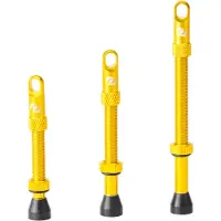 Syncros Valvole Tubeless