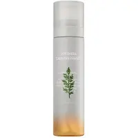 MISSHA Artemisia Calming Essence — Essenza viso