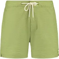 Shiwi Owen Swim Shorts 5 Inch Solid Green Fern Taglia: S | Pantaloncini da bagno Outlet | Uomo | Verde