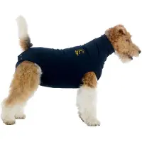 PADU Tuta protettiva MPS Dog 33cm XXS