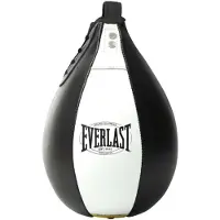 Everlast Sacco Da Velocità 1910