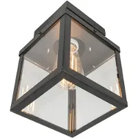 QAZQA Lampada da soffitto industriale da esterno, nera, a 1 luce, modello Rotterdam