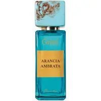 Gritti Arancia Ambrata 100 ml Unisex Eau de Parfum