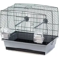 Laroy Duvo+ gabbia per uccelli Natalia 1 grigio/nero