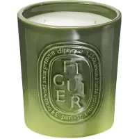 Diptyque Figuier Candela 1500 gr