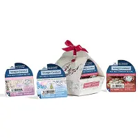 Yankee candle Snow Globe Wonderland 22 g — Cera Profumata
