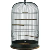 Zolux Gabbia per uccelli Vintage Marthe (48 cm)