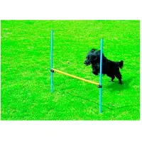Pawise Ostacolo Per L´agilità 16 Cm