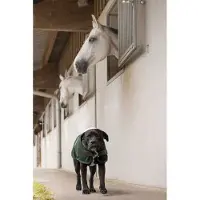 Diego & Louna Giacca Per Cani Nylon Teddy