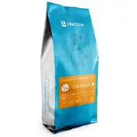 Lincoln Cibo Per Cani Di Taglia Media E Grande Ultra Premium Con Agnello E Riso 12kg