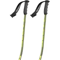 SCOTT Bastoncini Team Issue Gs
