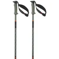 Salomon Polar Pro S3 Bastoncini da sci (130 cm, verde)