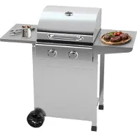 ProfiCook Griglia a gas fino a 350°C | griglie in ghisa | incluso regolatore di pressione del gas e tubo flessibile | 2 bruciatori | griglia a gas | 2 ripiani | PC GG 1309