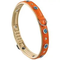 Ferplast Collare Per Cani Circus 20 Mm 44 Cm