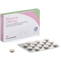 Karizoo Integratore Per Animali Domestici Silycure 160mg 30 Unità