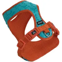 Nayeco Pettorina Per Cani 3d Skulls
