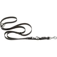Ferplast Guinzaglio Per Cani Evolutionga 16 Mm