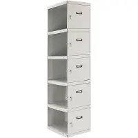 Simonlocker Montadas Armadietto Prof.dism.1/5 300 Adi 1800x300x500 Mm